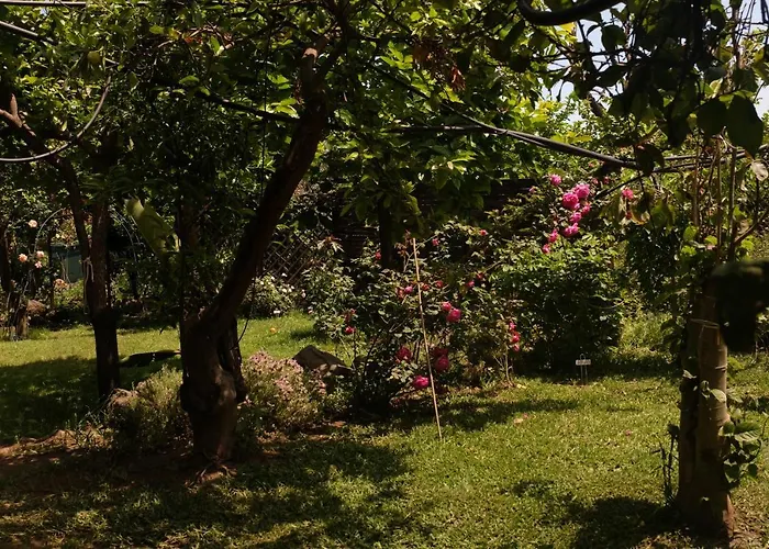 Bed and breakfast Casanera Riposto