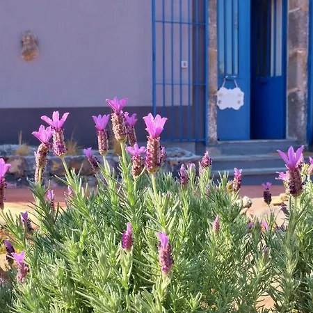 Casanera Bed and breakfast