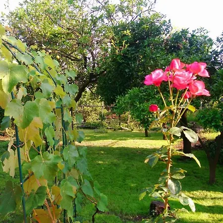 Casanera Bed & Breakfast *