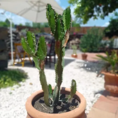 Bed & Breakfast Casanera