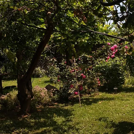 Bed & Breakfast Casanera Riposto