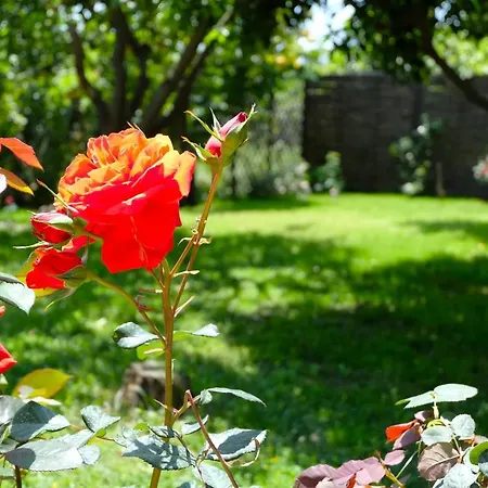 Bed & Breakfast Casanera Riposto