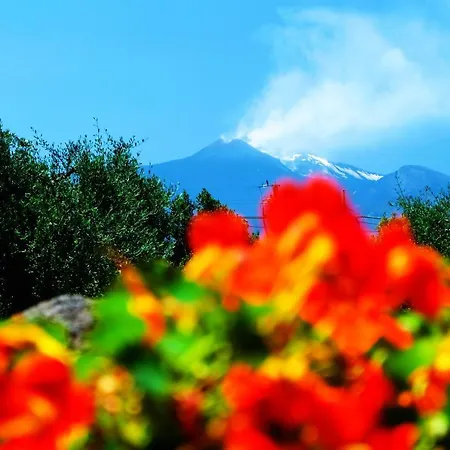 Bed & Breakfast Casanera