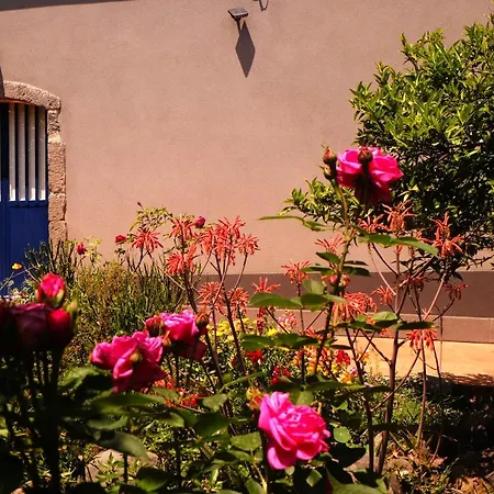 Casanera Bed & Breakfast *