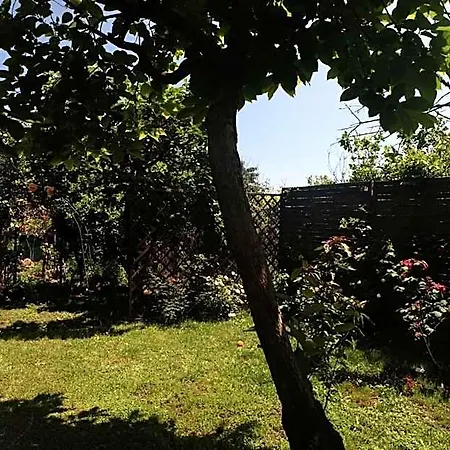 Casanera Bed and Breakfast