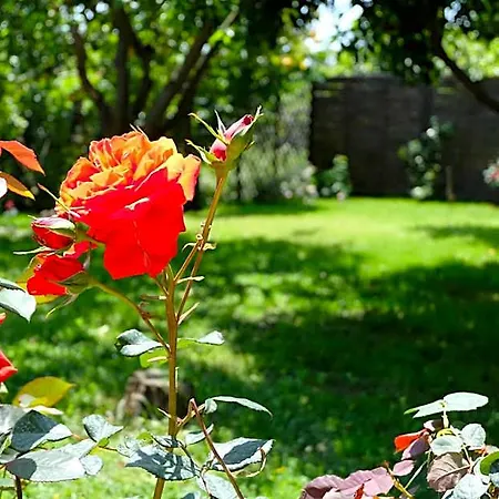Casanera