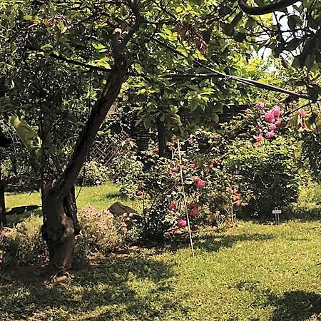 Casanera Bed and Breakfast Riposto