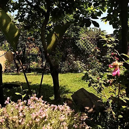 Casanera Bed and Breakfast