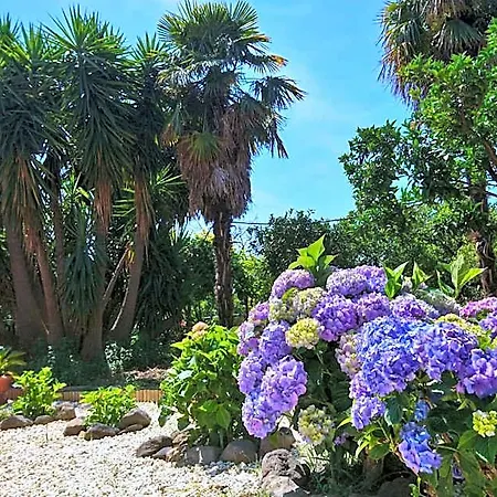 Casanera Bed and Breakfast