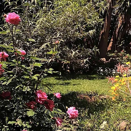 Casanera Bed and breakfast